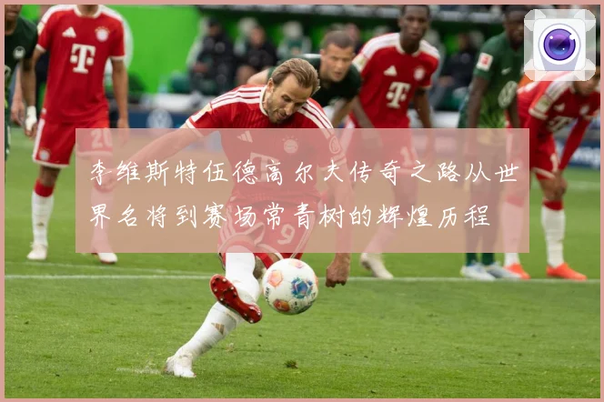 李维斯特伍德高尔夫传奇之路从世界名将到赛场常青树的辉煌历程